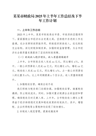 某某市财政局2025年上半年工作总结及下半年工作计划
