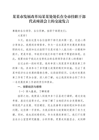某某市发展改革局某某处处长在全市挂职干部代表座谈会上的交流发言