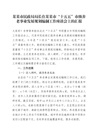 某某市民政局局长在某某市“十五五”市级养老事业发展规划编制工作座谈会上的汇报