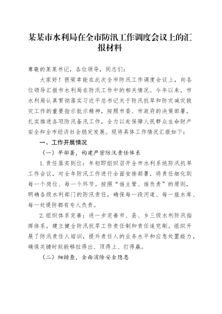 某某市水利局在全市防汛工作调度会议上的汇报材料