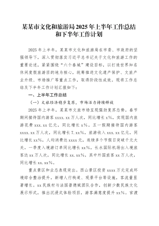 某某市文化和旅游局2025年上半年工作总结和下半年工作计划