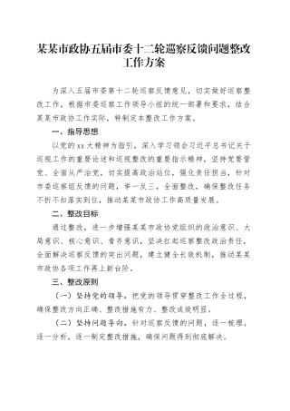 某某市政协五届市委十二轮巡察反馈问题整改工作方案