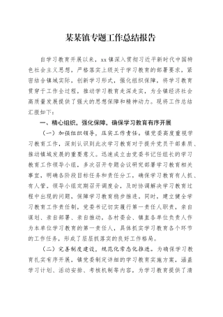 某某镇专题工作总结报告