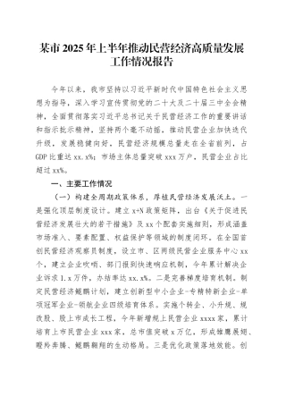 某市2025年上半年推动民营经济高质量发展工作情况报告