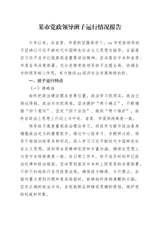 某市党政领导班子运行情况报告
