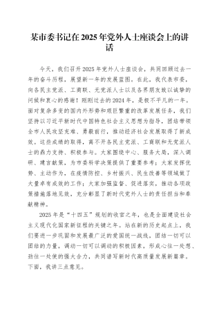 某市委书记在2025年党外人士座谈会上的讲话