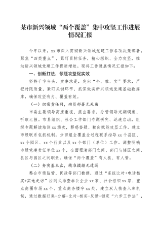 某市新兴领域“两个覆盖”集中攻坚工作进展情况汇报