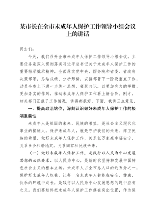 某市长在全市未成年人保护工作领导小组会议上的讲话
