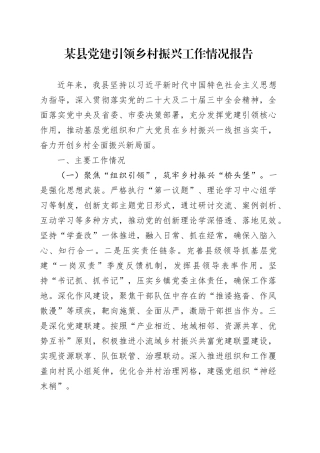 某县党建引领乡村振兴工作情况报告