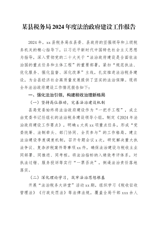 某县税务局2024年度法治政府建设工作报告