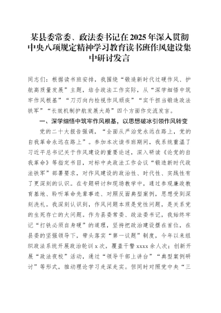某县委常委、政法委书记在2025年深入贯彻中央八项规定精神学习教育读书班作风建设集中研讨发言20250421