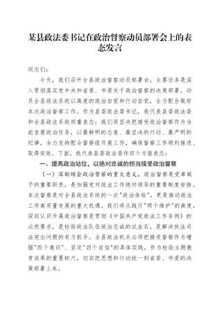 某县政法委书记在政治督察动员部署会上的表态发言