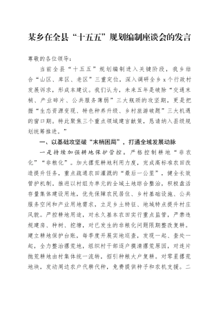 某乡在全县“十五五”规划编制座谈会的发言