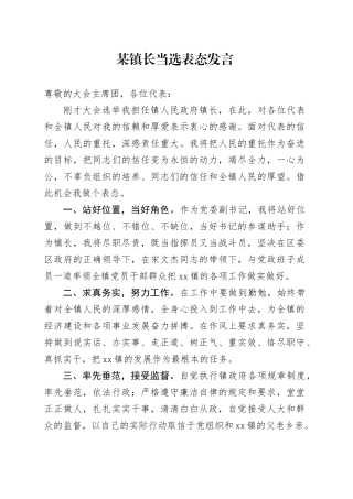 某镇长当选表态发言