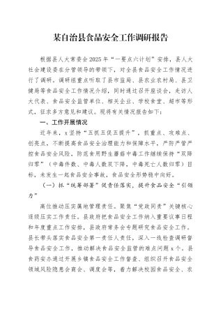 某自治县食品安全工作调研报告