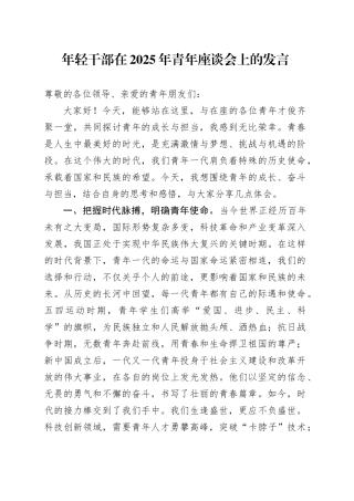 年轻干部在2025年青年座谈会上的发言