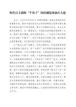 扭住自主创新“牛鼻子”闯出制造业康庄大道