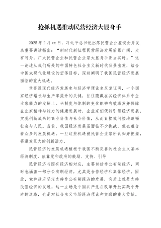 抢抓机遇推动民营经济大显身手