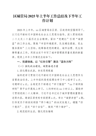 区城管局2025年上半年工作总结及下半年工作计划
