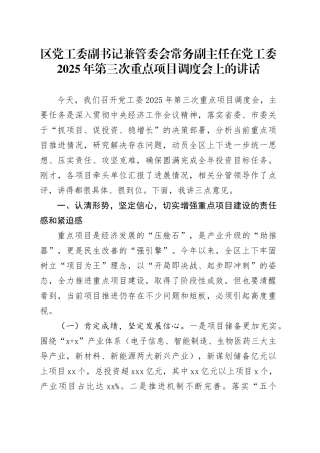 区党工委副书记兼管委会常务副主任在党工委2025年第三次重点项目调度会上的讲话
