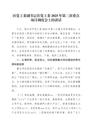 区党工委副书记在党工委2025年第三次重点项目调度会上的讲话