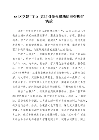 区党建工作：党建引领强根基 精细管理促实效