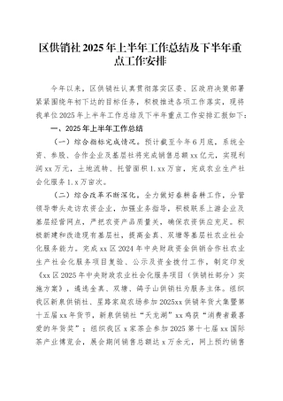 区供销社2025年上半年工作总结及下半年重点工作安排