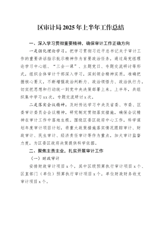 区审计局2025年上半年工作总结