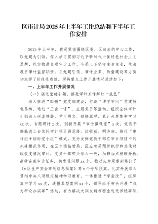 区审计局2025年上半年工作总结和下半年工作安排