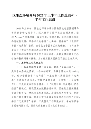 区生态环境分局2025年上半年工作总结和下半年工作思路