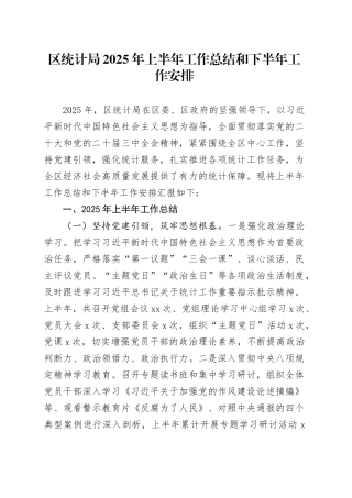 区统计局2025年上半年工作总结和下半年工作安排