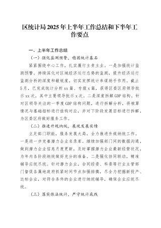 区统计局2025年上半年工作总结和下半年工作要点
