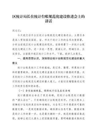 区统计局长在统计台账规范化建设推进会上的讲话