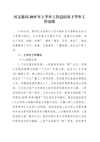 区文旅局2025年上半年工作总结及下半年工作安排