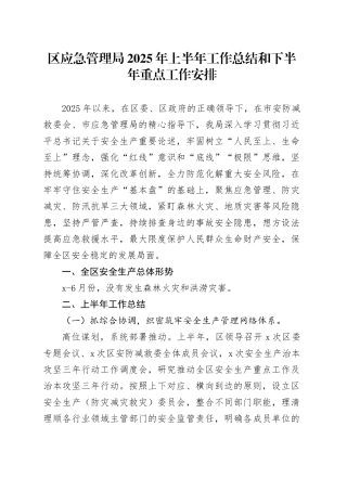 区应急管理局2025年上半年工作总结和下半年重点工作安排