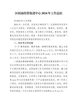区招商投资促进中心2024年工作总结和2025年工作思路