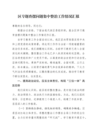 区专题查摆问题集中整治工作情况汇报