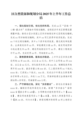 区自然资源和规划分局2025年上半年工作总结