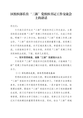 区组织部长在‘三新’党组织书记工作交流会上的讲话