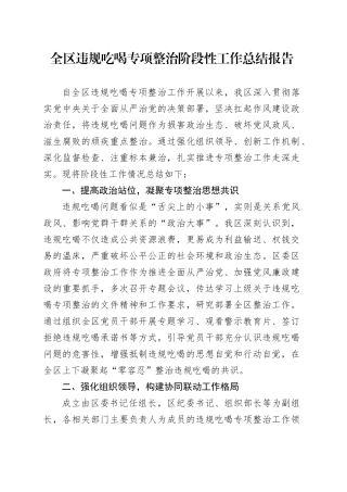 全区违规吃喝专项整治阶段性工作总结报告
