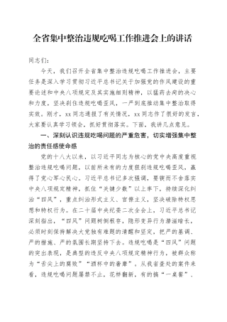 全省集中整治违规吃喝工作推进会上的讲话