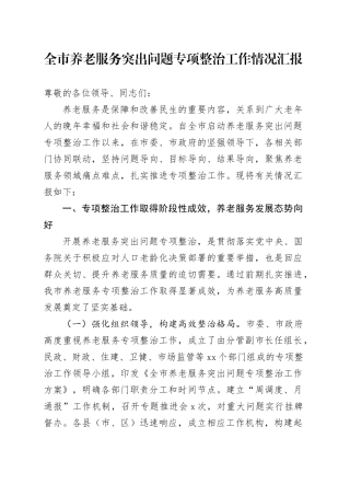 全市养老服务突出问题专项整治工作情况汇报