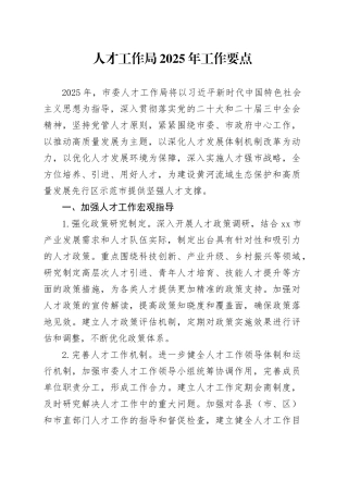 人才工作局2025年工作要点