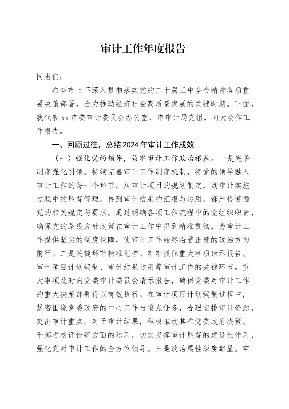 审计工作年度报告_第1页