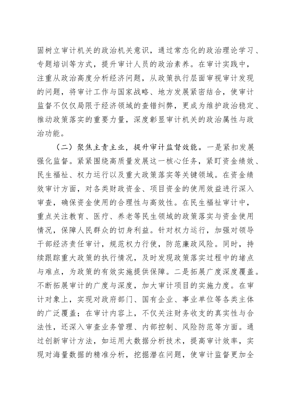 审计工作年度报告_第2页