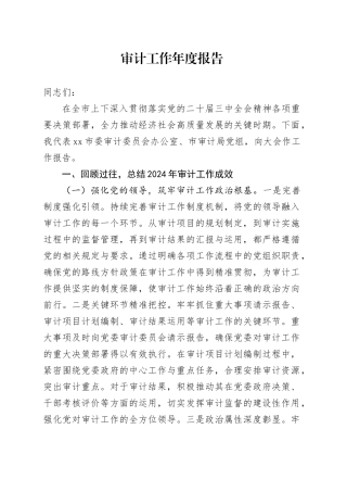 审计工作年度报告