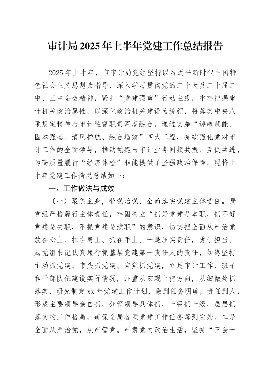 审计局2025年上半年党建工作总结报告_第1页