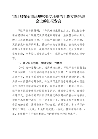 审计局在全市违规吃喝专项整治工作专题推进会上的汇报发言