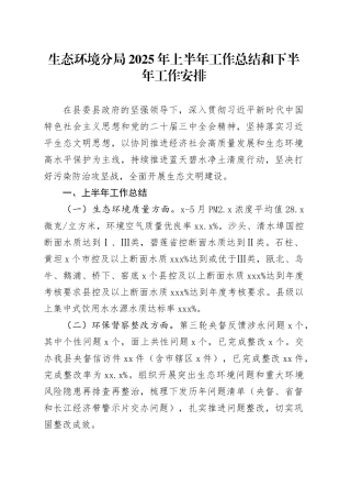 生态环境分局2025年上半年工作总结和下半年工作安排