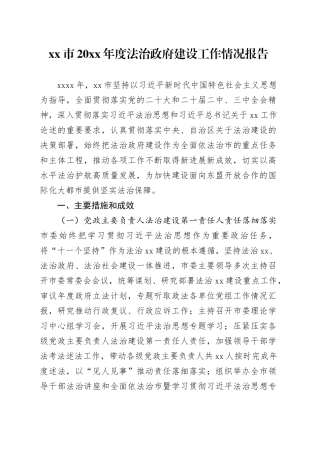 市20XX年度法治政府建设工作情况报告